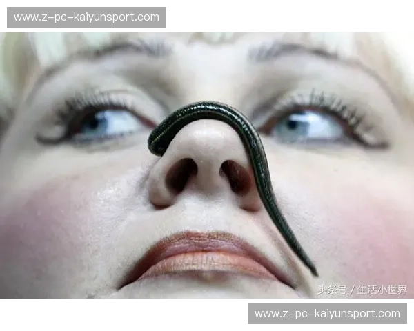 新闻跳水：从危机到逆袭的媒体生存术